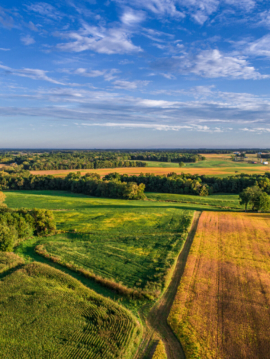 an-aerial-drone-photo-over-the-fields-and-dirt-road-lanes-in-the-fields-during-the-golden-light-of-the-morning-stockpack-istock.jpg