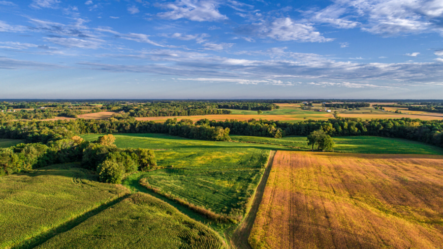 an-aerial-drone-photo-over-the-fields-and-dirt-road-lanes-in-the-fields-during-the-golden-light-of-the-morning-stockpack-istock.jpg